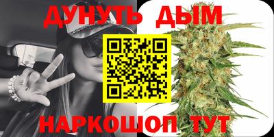 apvp Новоалтайск