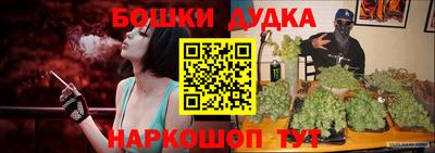 apvp Новоалтайск
