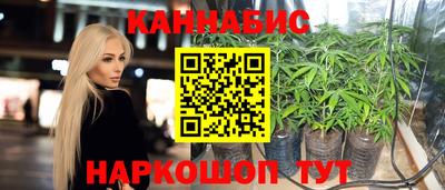 apvp Новоалтайск