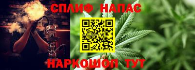 прущие грибы Новоалександровск