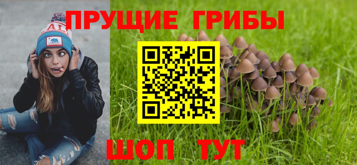 Галлюциногенные грибы мицелий Зерноград