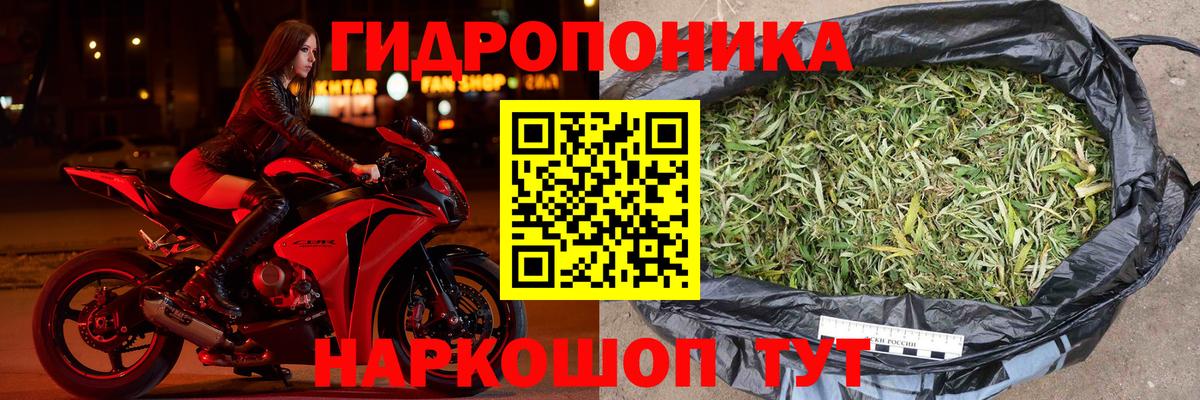 Каннабис марихуана Зерноград